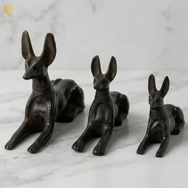 Anubis Jackal Trio